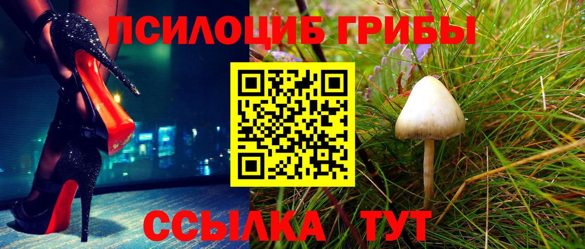 Раменское  Псилоцибиновые грибы мухоморы  Вход с VPN 