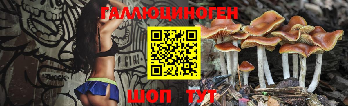 Псилоцибиновые грибы GOLDEN TEACHER Раменское