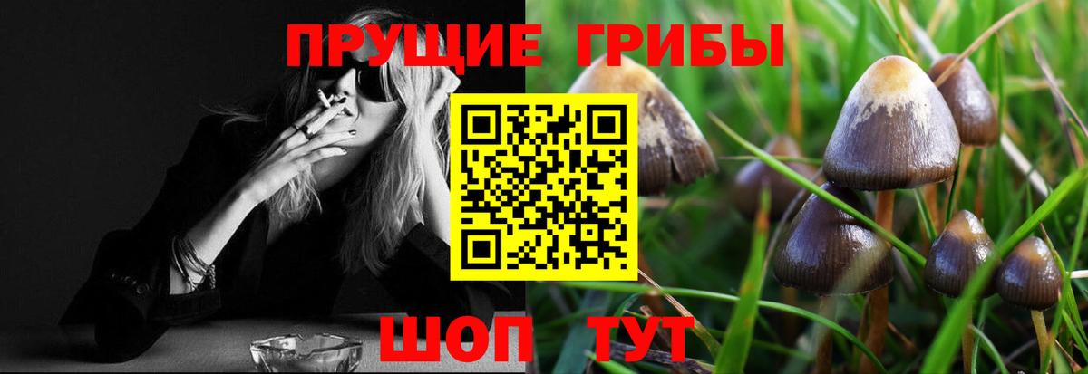 купить наркоту  Раменское  Галлюциногенные грибы прущие грибы 