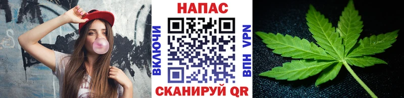 купить  цена  Раменское  Конопля гибрид 